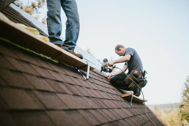 Roof Gutter Cleaning in Pearson, GA